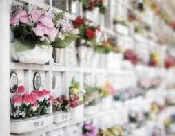 Un'immagine generica segnaposto con angoli arrotondati in una figura.